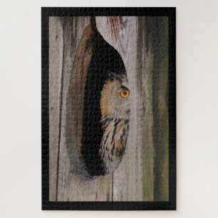Curious Owl Peeking From Home Jigsaw Puzzle