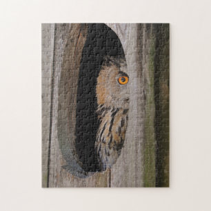 Curious Owl Peeking From Home Jigsaw Puzzle