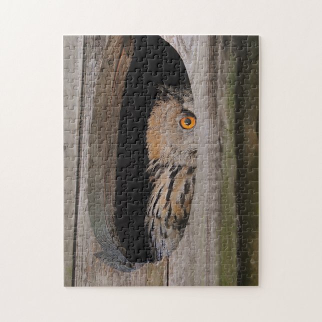 Curious Owl Peeking From Home Jigsaw Puzzle (Vertical)