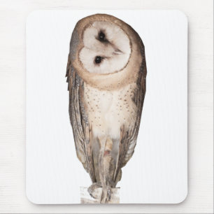 Curious owls card. mouse pad