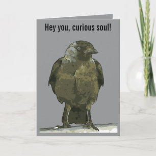 Curious Perch Black Hooded Crow Card
