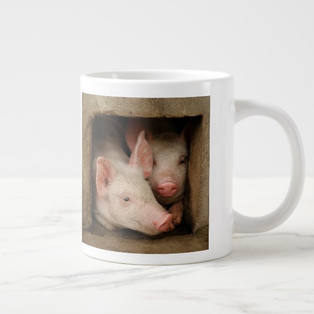 Curious Piglets Large Coffee Mug (Right)