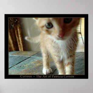 Curious Poster