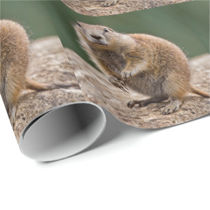Curious Prairie Dog Wrapping Paper