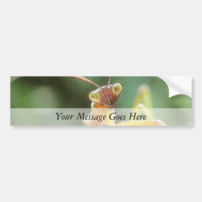 Curious Praying Mantis Bumper Sticker (Front)