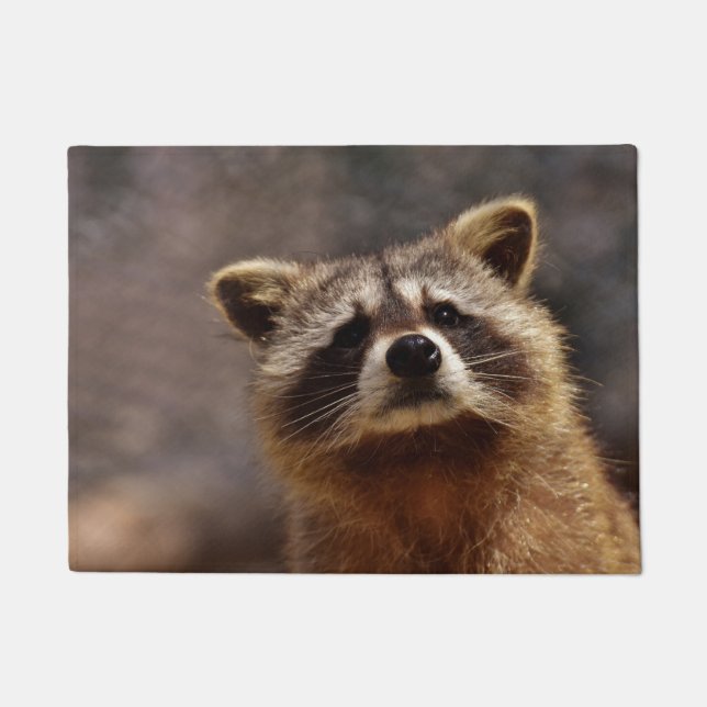 Curious Raccoon Doormat (Front)