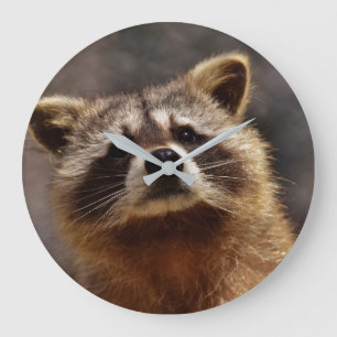 Curious Raccoon Large Clock