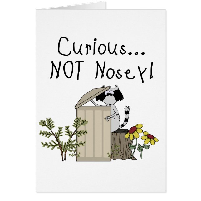 Curious Racoon (Front)