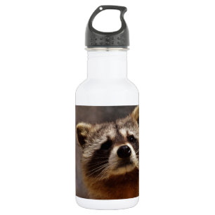 Curious Racoon 532 Ml Water Bottle