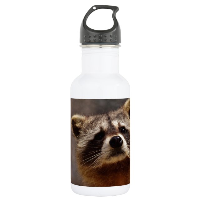 Curious Racoon 532 Ml Water Bottle (Front)
