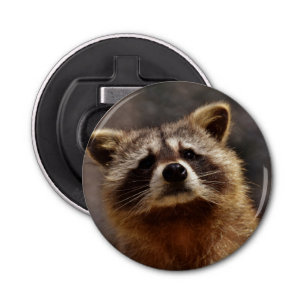 Curious Racoon Bottle Opener