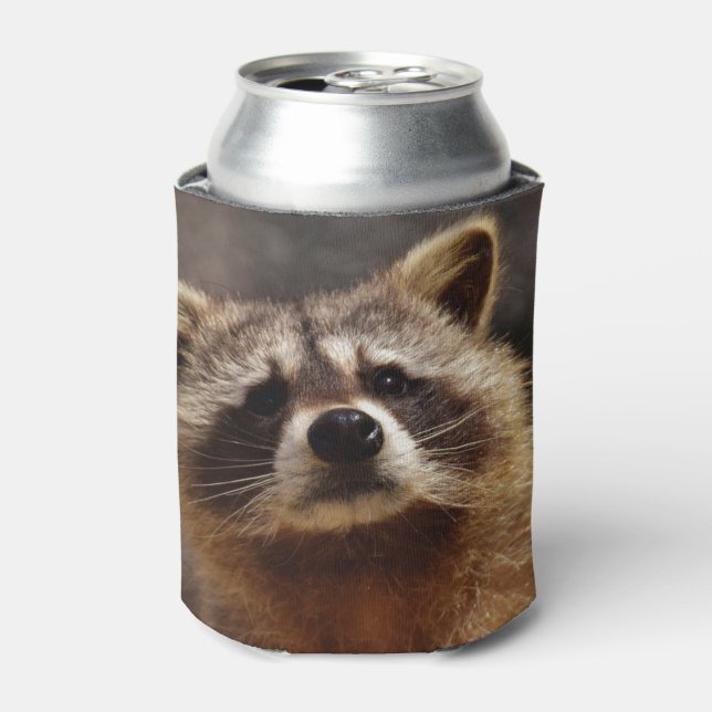 Curious Racoon Can Cooler (Can Front)