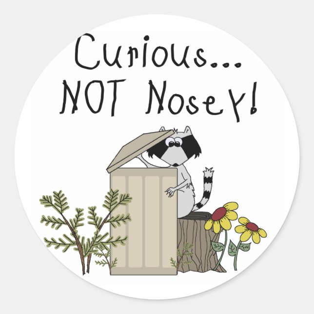 Curious Racoon Classic Round Sticker (Front)
