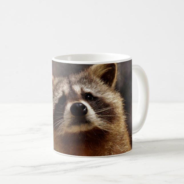 Curious Racoon Coffee Mug (Front Right)