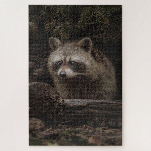 Curious Racoon In The Forest Animal Jigsaw Puzzle