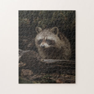 Curious Racoon In The Forest Animal Jigsaw Puzzle
