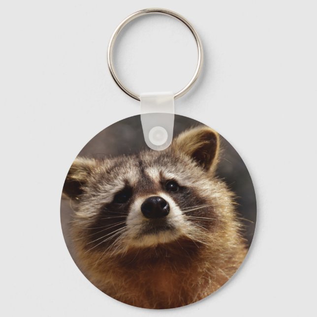 Curious Racoon Key Ring (Front)