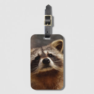Curious Racoon Luggage Tag