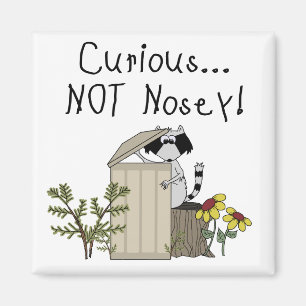 Curious Racoon Magnet