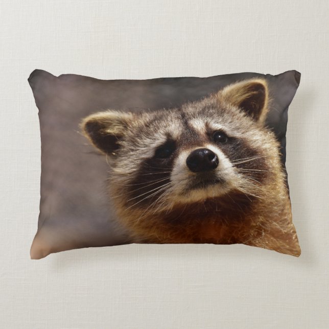 Curious Racoon Photo Decorative Cushion (Front)
