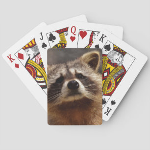 Curious Racoon Playing Cards