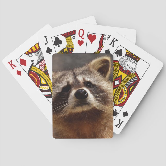 Curious Racoon Playing Cards (Back)