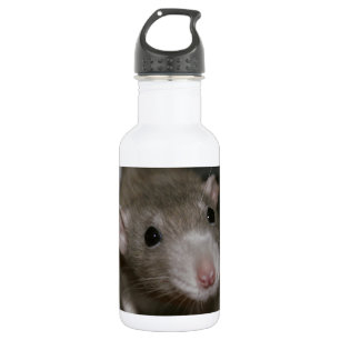 Curious Rat 532 Ml Water Bottle