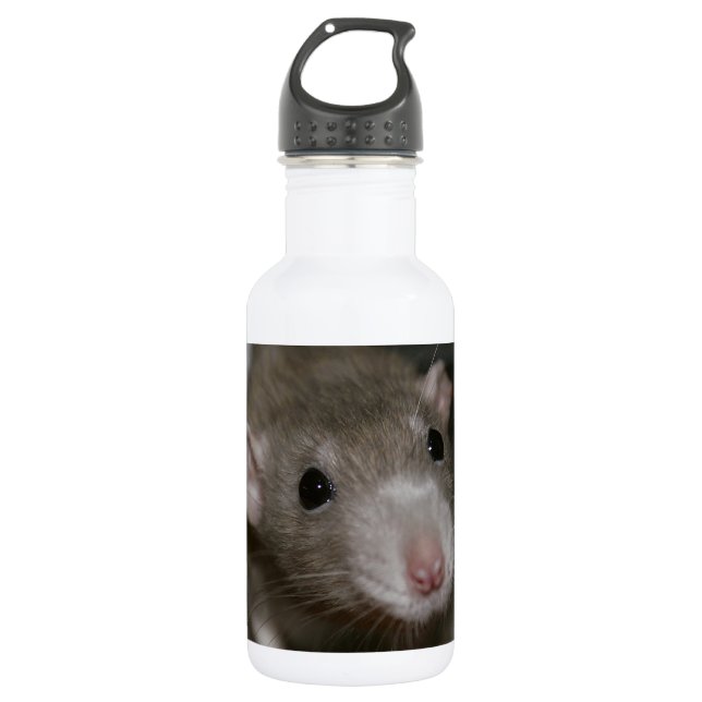 Curious Rat 532 Ml Water Bottle (Front)