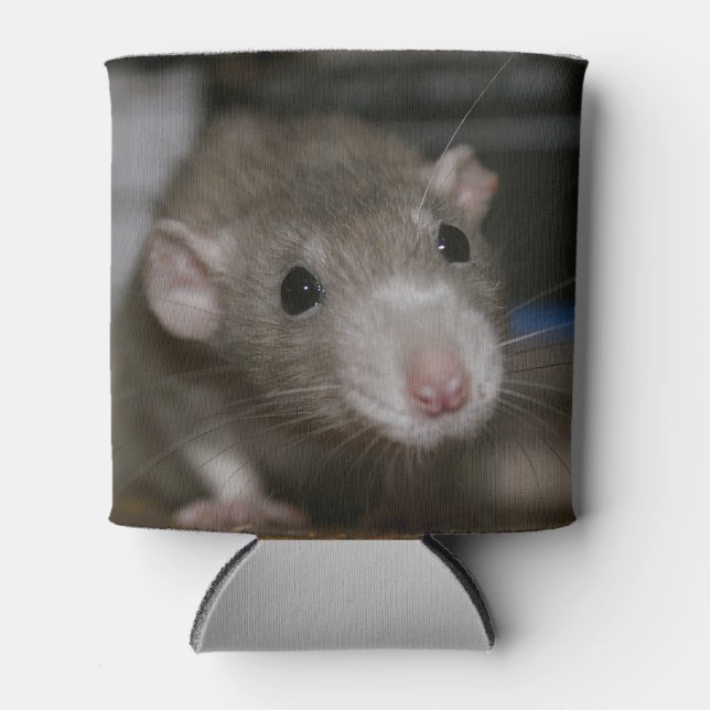 Curious Rat Can Cooler (Front)