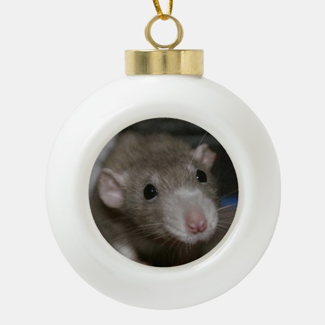Curious Rat Ceramic Ball Christmas Ornament (Front)