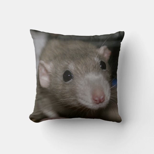 Curious Rat Cushion (Front)