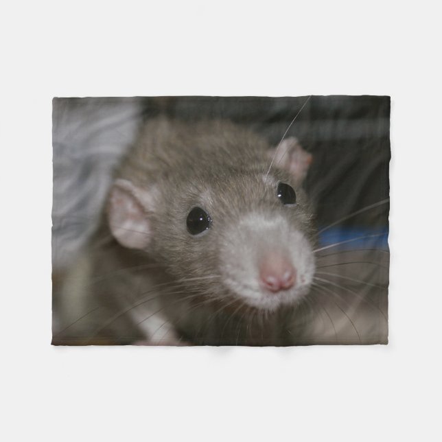 Curious Rat Fleece Blanket (Front (Horizontal))