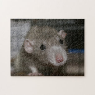 Curious Rat Jigsaw Puzzle