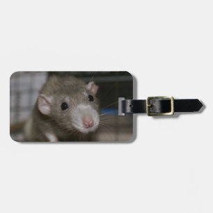 Curious Rat Luggage Tag