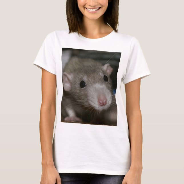 Curious Rat T-Shirt (Front)