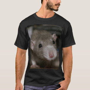 Curious Rat T-Shirt