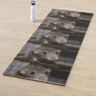 Curious Rat Yoga Mat