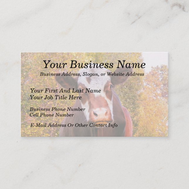 Curious Red Cow Business Card (Front)