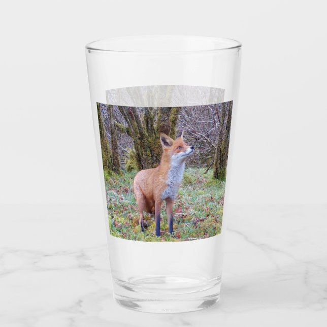Curious Red Fox Looking Up Woodland Wildlife Art Glass (Front)