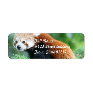 Curious Red Panda Mailing Labels