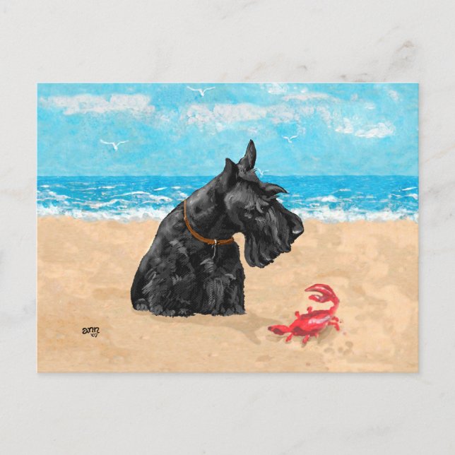 Curious Scottie at the Beach Postcard (Front)