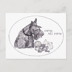 Curious Scottish Terrier Mine, all Mine Postcard