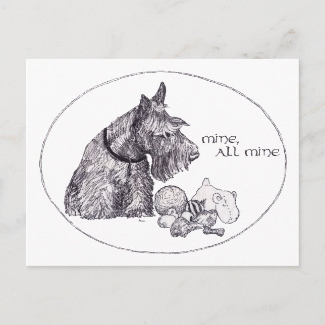 Curious Scottish Terrier Mine, all Mine Postcard (Front)