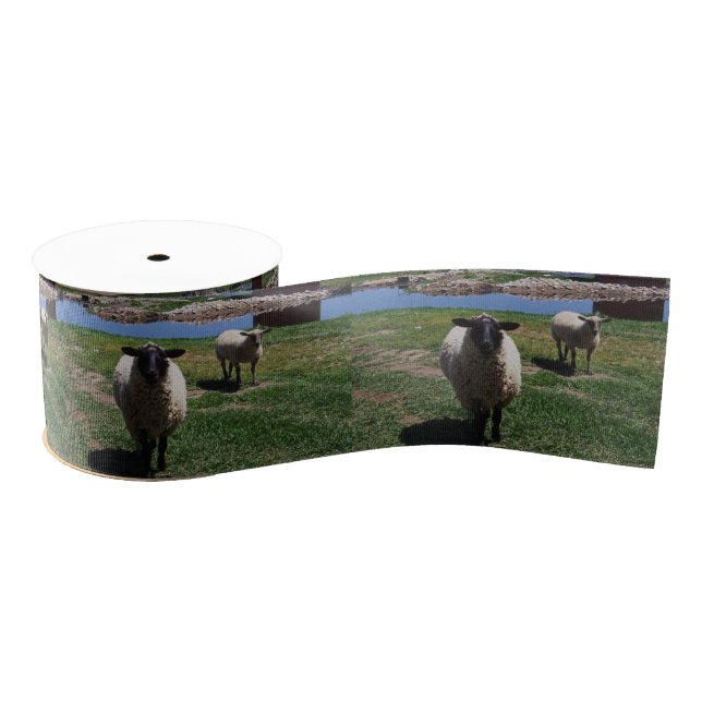 Curious Sheep Grosgrain Ribbon (Spool)