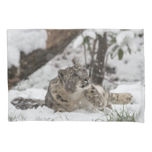Curious Snow Leopard in Snow Pillowcase