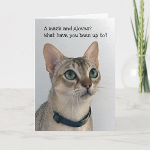 Curious Social Distancing Cat Card