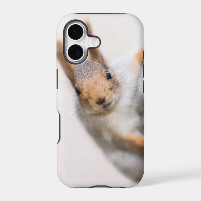 Curious squirrel (Back)