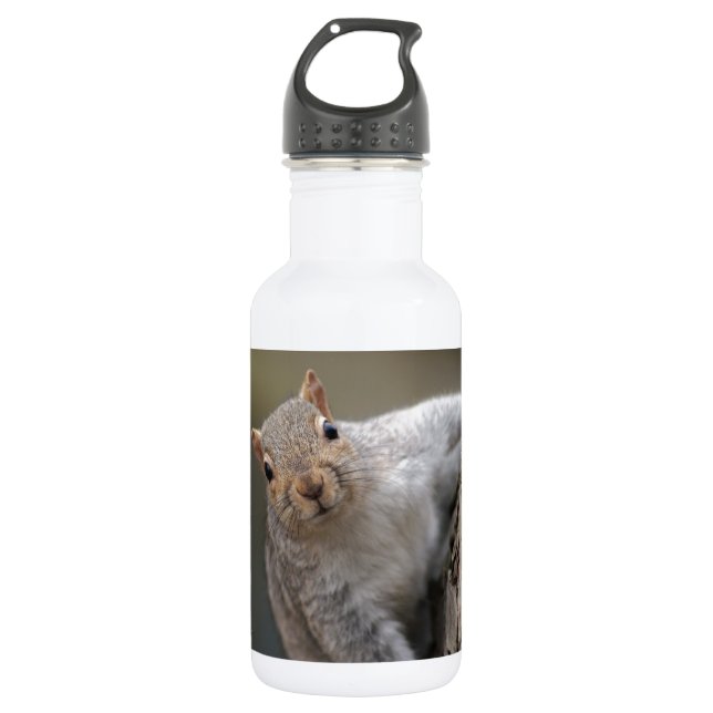 Curious Squirrel 532 Ml Water Bottle (Front)