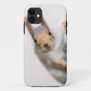 Curious squirrel iPhone 11 case