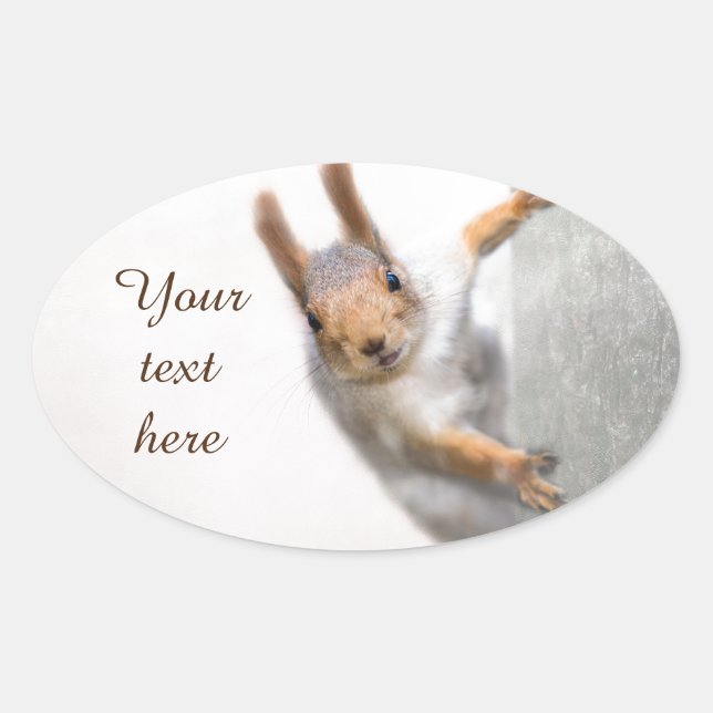 Curious squirrel oval sticker (Front)